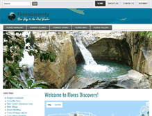 Tablet Screenshot of floresdiscovery.com